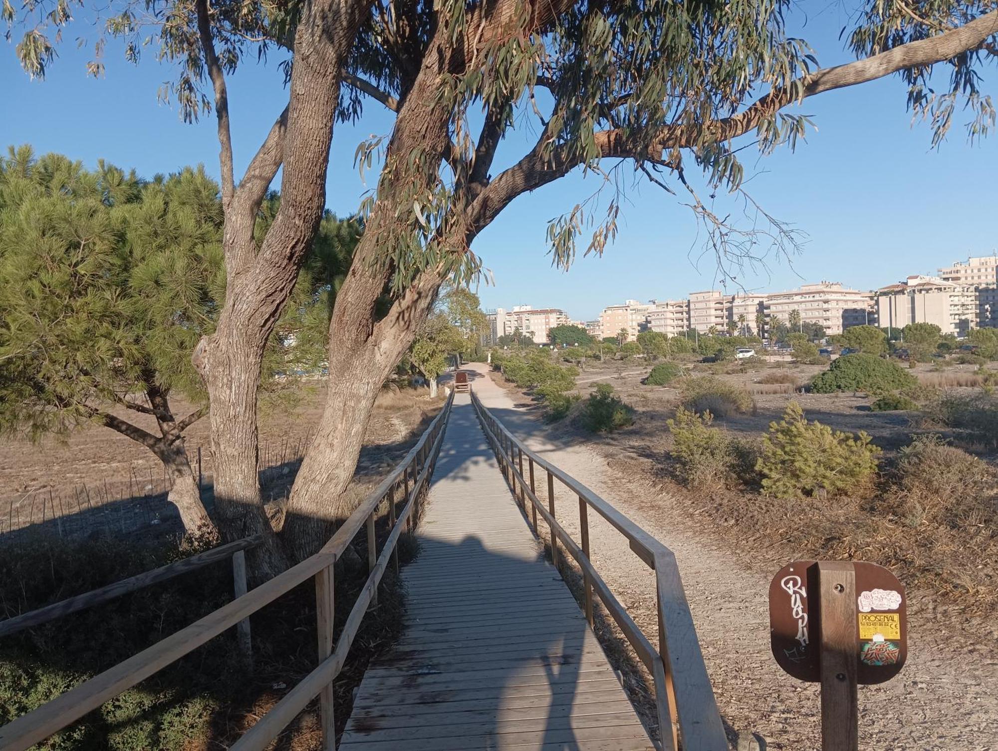 Bonito Apartamento 150 M De La Playa La Mata La Mata  Exteriér fotografie