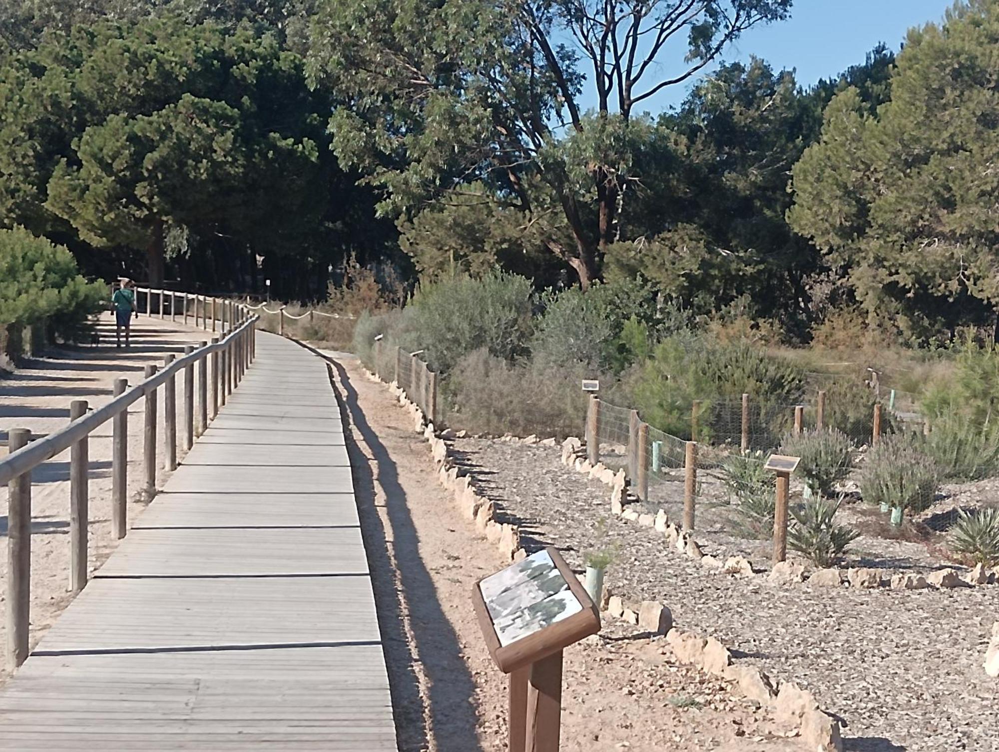 Bonito Apartamento 150 M De La Playa La Mata La Mata  Exteriér fotografie
