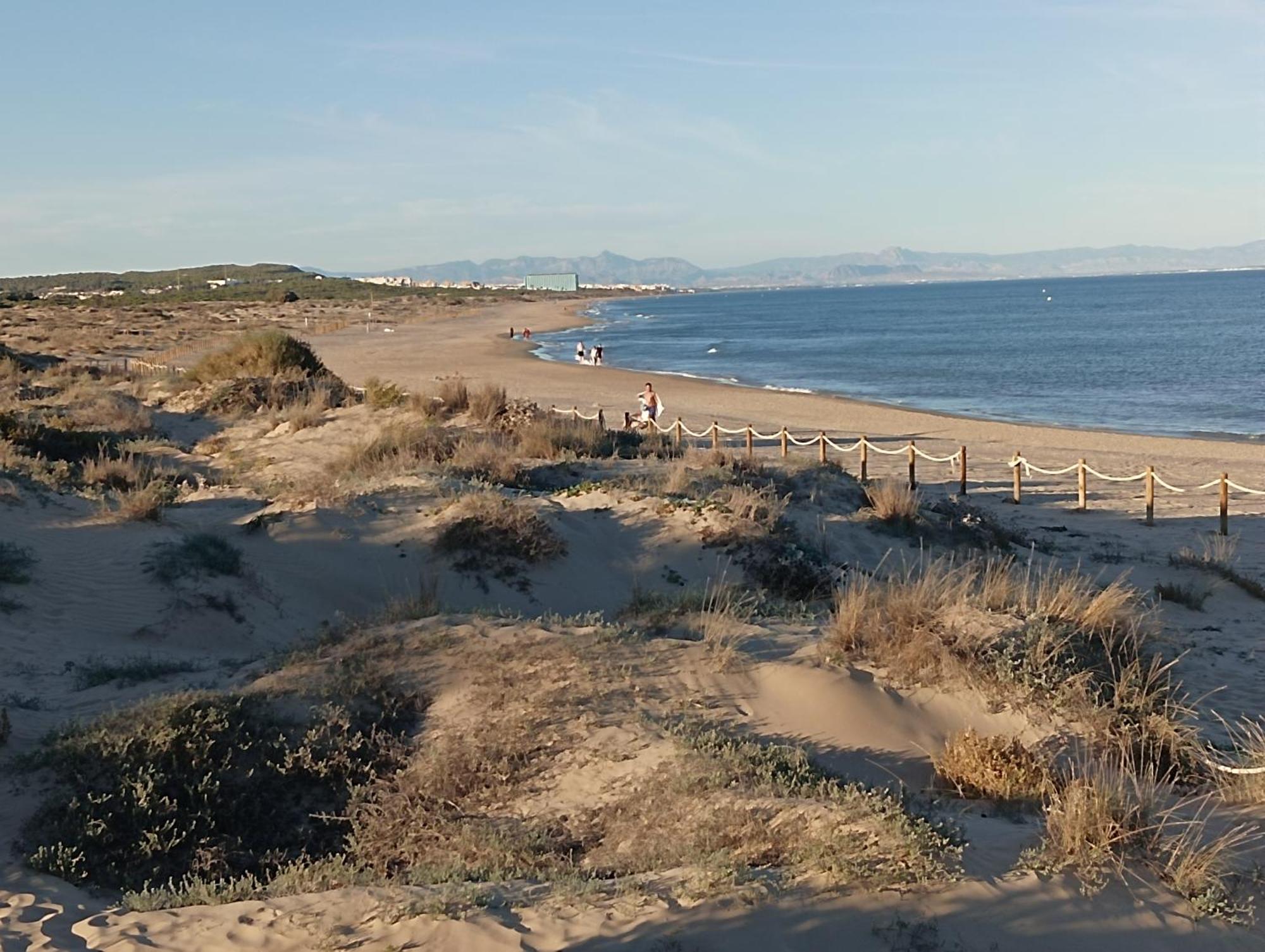 Bonito Apartamento 150 M De La Playa La Mata La Mata  Exteriér fotografie