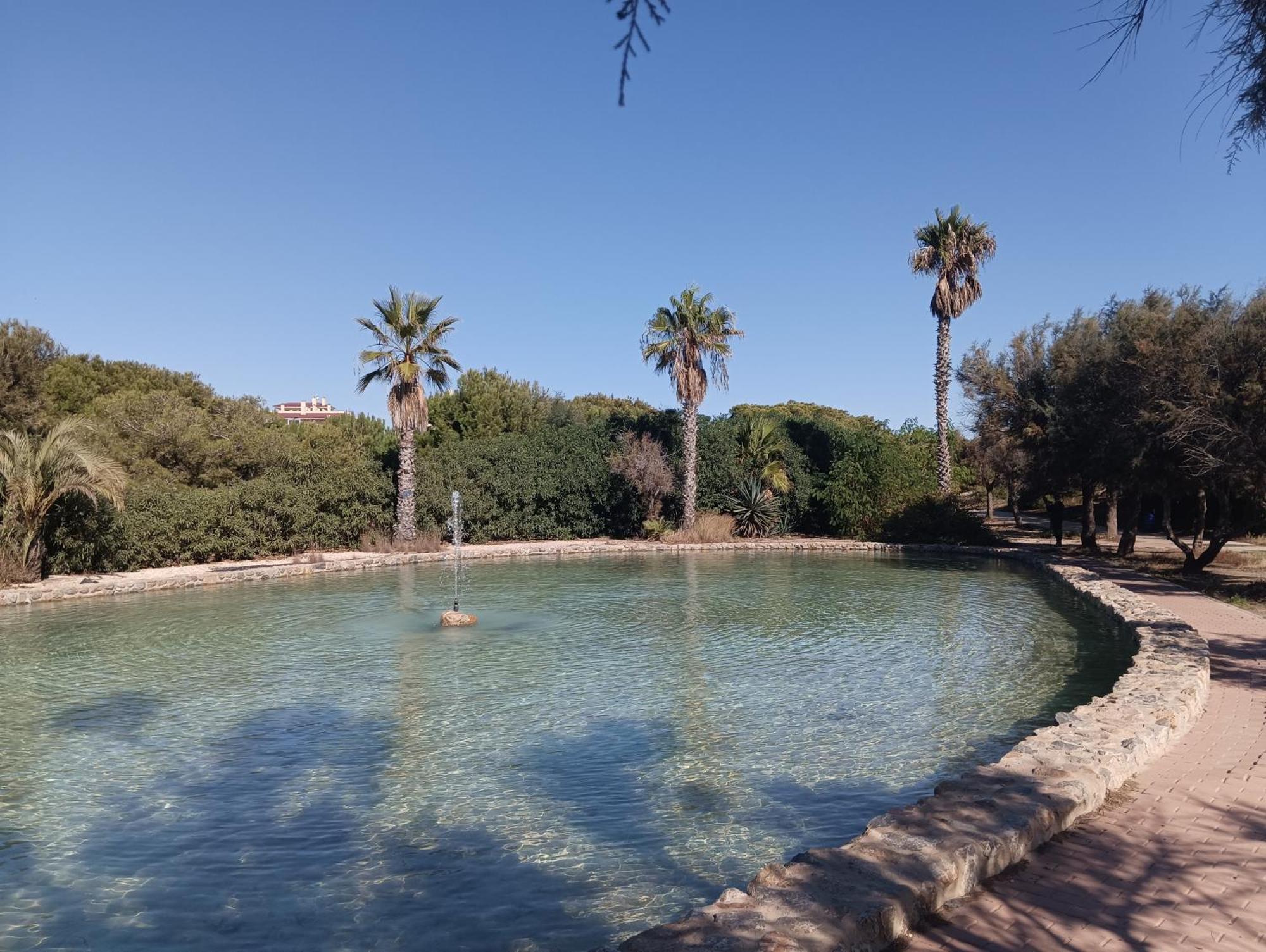 Bonito Apartamento 150 M De La Playa La Mata La Mata  Exteriér fotografie