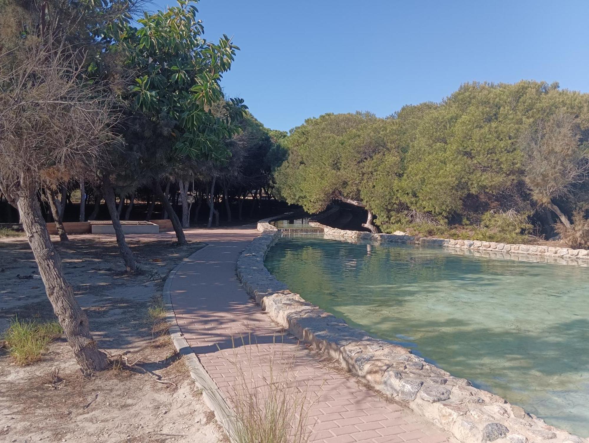 Bonito Apartamento 150 M De La Playa La Mata La Mata  Exteriér fotografie
